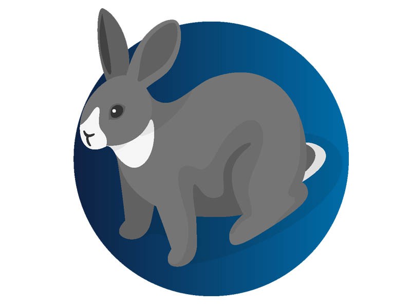 Sub Rabbits