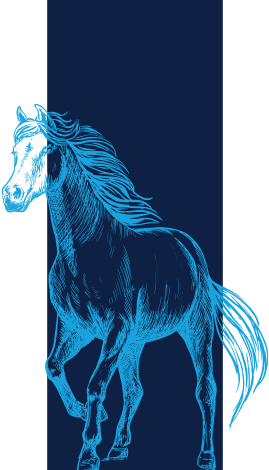 Equine Vaccines